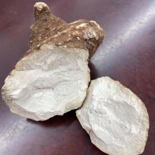 ���ؘǡ�����ؘǂ�(���~һ֦��)����  ��Ʒ���ڵ��ؘ�,��؛