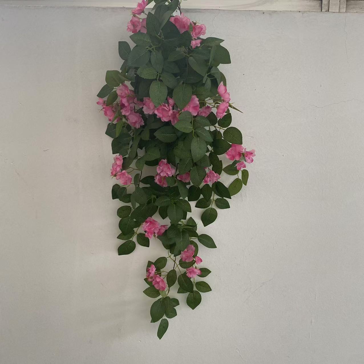 微信图片_20250103132340