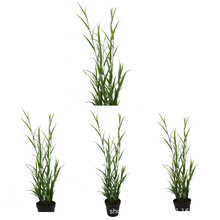 �����JȔ�����С�JȔ�~�ٻ��~�Gֲ����ֲ���JȔ�����̲����^���l