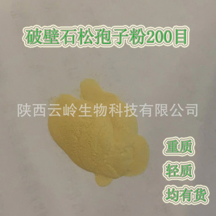 500��/�����ݻ��� ���|�p�|200Ŀ�僟���ħ�g �Ʊ�ʯ�����ӷ�