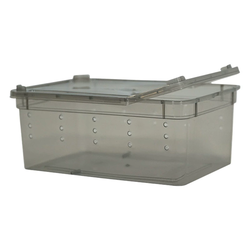 Альпинистское домашнее животное рогатая Лягушка Коробка для кормления коробка для рептилий домашнее животное змея паук скорпион многоножка охраняет дворец Улитка насекомое черепаха банка