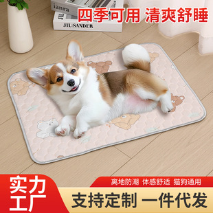 冰垫猫咪