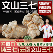 ��ɽ��Ʒ�����^�߸��������������ؼ��o���������^����Ƭ���߷�