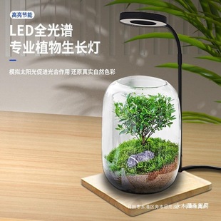 LED plant growth lamp micro landscape lamp bamboo board lamp fish tank lamp moss lamp fleshy plant fill light