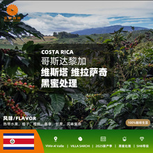 ��˹�_����M�ھS˹���S���_�����̎����Ʒ��������2025�®a��