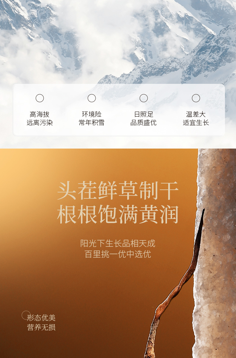 Premium Cordyceps Gift Box Dong Chong Xia Cao 5g Wild-Harvested Qinghai Origin Whole Stems quality and texture