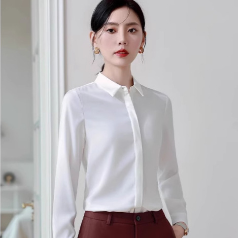 2025 New Busalong Long Sleeve Shirt Women's Shirt Professional Slim Fit Work Clothes plus size Formal 8007