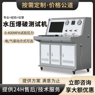 工厂定制耐压测试机全自动超高压压力检测 水压爆破试验机
