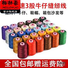 20s/3�ɴ��޾��׼t��ɫ606�p����ɳ�l�������ţ�М�]�ֿp�x�C��