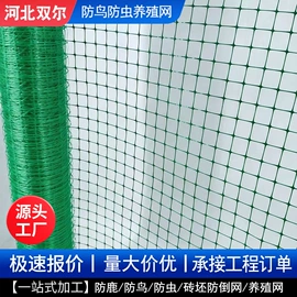 防鸟网;其他塑料网;养殖网