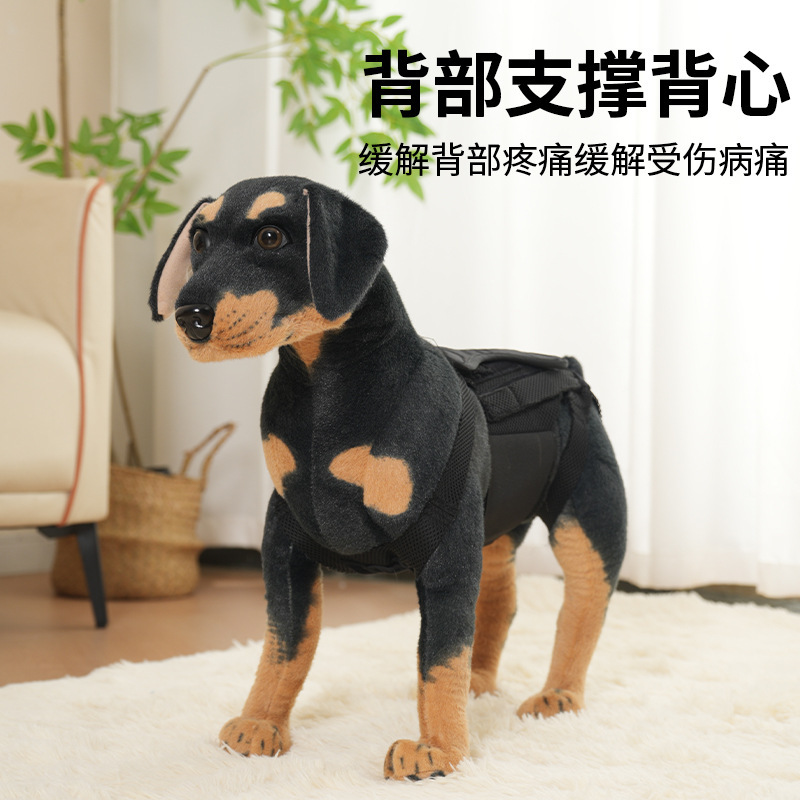 Cross-border new pet back support vest intervertebral disc protection to relieve pain and injured dog spine support suit
