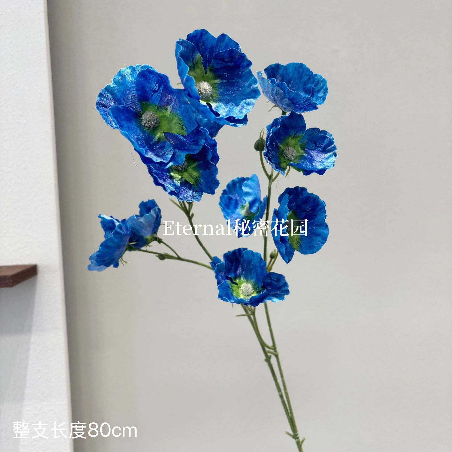 작은 양귀비 사파이어 12개