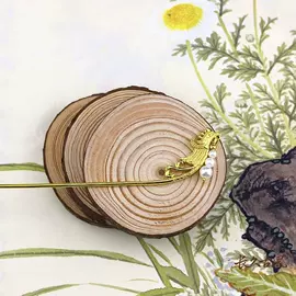 耳钉;发簪;项圈