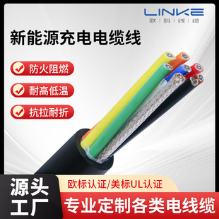 Ccc Certified Line, Oil-Proof and Anti-Interference Ev Line, Thickened Copper Core Resistance Cable, New Energy Charging Pile Power Cord