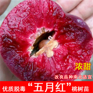 ���¼tˮ���Ҙ���޽��S�Ҙ��m�䮔��Y���ϱ����Nֲ�����Ҙ����