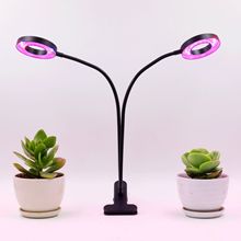 亚马逊爆款天使环植物灯 一头两头植物夹子台灯 圆形植物补光灯