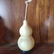 ��Ȼ��̖���J   �к��J    ��̖�غ��J    ��̖���Jԭ����