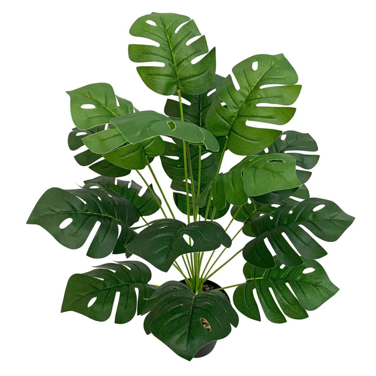 微信图片_20220829103327