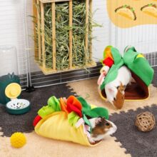 ������������]�������̎��ܛ�\�ݴ������}�����ӹ��ո��С��