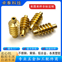 车床加工铜 铝蜗杆 塑料蜗杆行星支架 扫地机器人减速机五金配件
