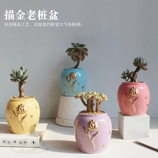 凡土厂家自产自销马卡龙色系列描金手绘多肉花盆陶瓷小老桩花器