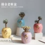 系列陶瓷多肉手绘花盆