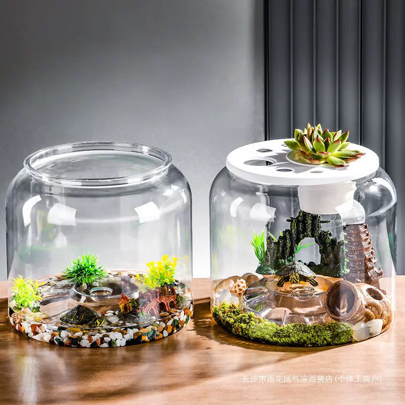 Plastic turtle breeding cylinder micro -landscape hood living room transparent lid lizard lizard climbing cylinder