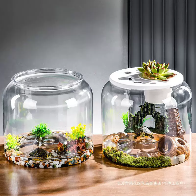 Plastic turtle breeding cylinder micro -landscape hood living room transparent lid lizard lizard climbing cylinder