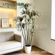 �羳���Q؛Դ���Q�羳���؛Դ�W�t������Ѫ�����Կ͏dֲ���b�