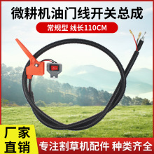 ΢���C���T���_�P��������ڿәC��Ѩ�C΢���C���T�ԴϨ���_�P��