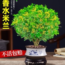 ��ˮ���m�����Ԏ������������Ϙ��ļ��_���҃����F���ܾGֲС����