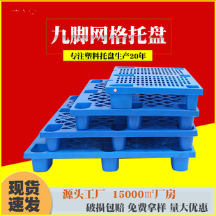 ���_�W�������бP�}������|���܇�������z����Ӻ�ȫ�����Ͽ���