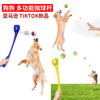 Amazon New products Pets Toys Dogs multi-function Dropping interaction Retractable cord Molars ball Toys