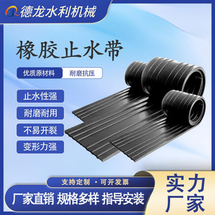 Rubber Waterstop for Embedded Use in Hydroengineering Projects, Adhesive-Backed Bridge and Tunnel Products, Specialized for Bridges and Tunnels