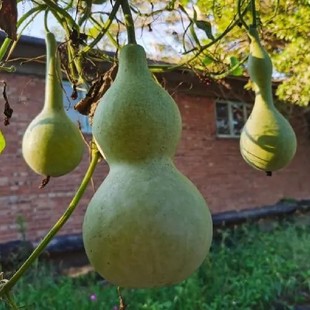 һ�����l�ļ����N�ͺ��͟���J�N�Ӵ�ƺ��J����С���J��ư���J��