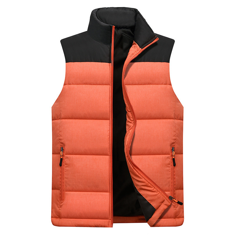 Giacca da uomo in cotone nuova senza maniche con colletto alto autunno e inverno 2024, modello coreano, ispessito_voghion.com