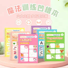 跨境亚马逊新品TEMU魔法练字帖趣味临摹图画本早教训练字帖可定制