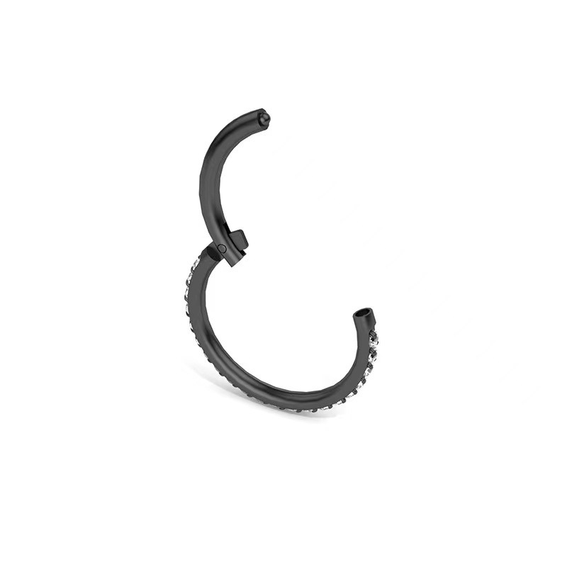 G23 Titanium Nose Ring Seamless Closed Ring CZ Micro-Inlaid Zircon Nose Stud Hoop for Women Men detail image 23