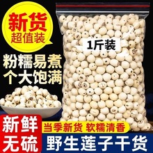 ����ɏ�������خa��̶��ɏ�Ӹ�؛ȥоɏ�� �oоȡоĥƤ��ɏ