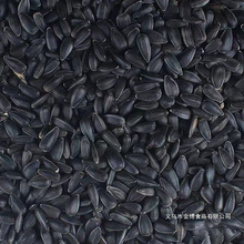 2024���º�����С���ӿ������Ϳ����W�^�Bʳ�}��Z���Z�ڹ����B�Z