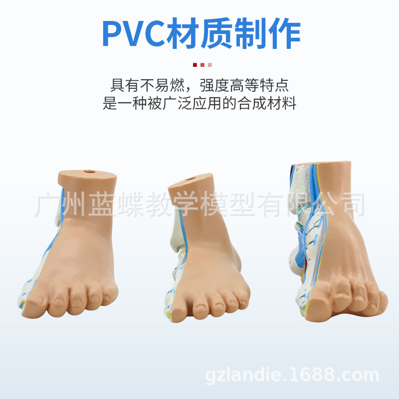 ��ѧ�����������ƽ�㹭����߹��� �㹭�㲿����������ʽ�ģ��