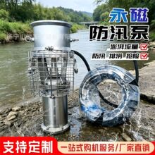 大流量永磁油浸抢险泵 抗洪防汛排水泵 手提便携式农田灌溉排涝泵