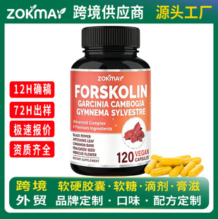 �羳8��1ë�����ﻨ�z��8 in 1 Forskolin Capsules��ʳ�a�䄩OEM