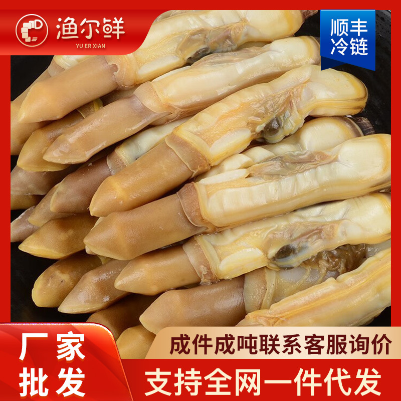 新鲜大个蛏王肉冷冻竹节蛏子现剥海捕蛏王肉贝类海鲜餐饮批发跨境