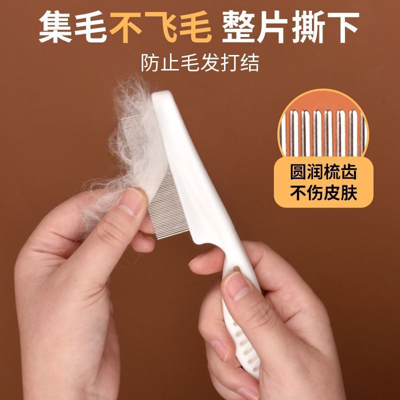 ペットのノミ取り櫛、猫と犬の口の毛の櫛、密な歯の小さな列の櫛、顔の櫛、小さな白い櫛、きれいな顔の針の櫛|undefined