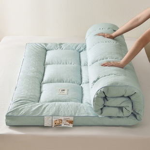New Student Mattress Waffle Soy Fiber Mattress Soft Cushion Student Dormitory Single Mattress Double-Sided