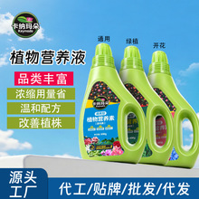 营养液植物通用花肥发财树富贵竹绿萝水培盆栽园艺花卉绿植有机肥
