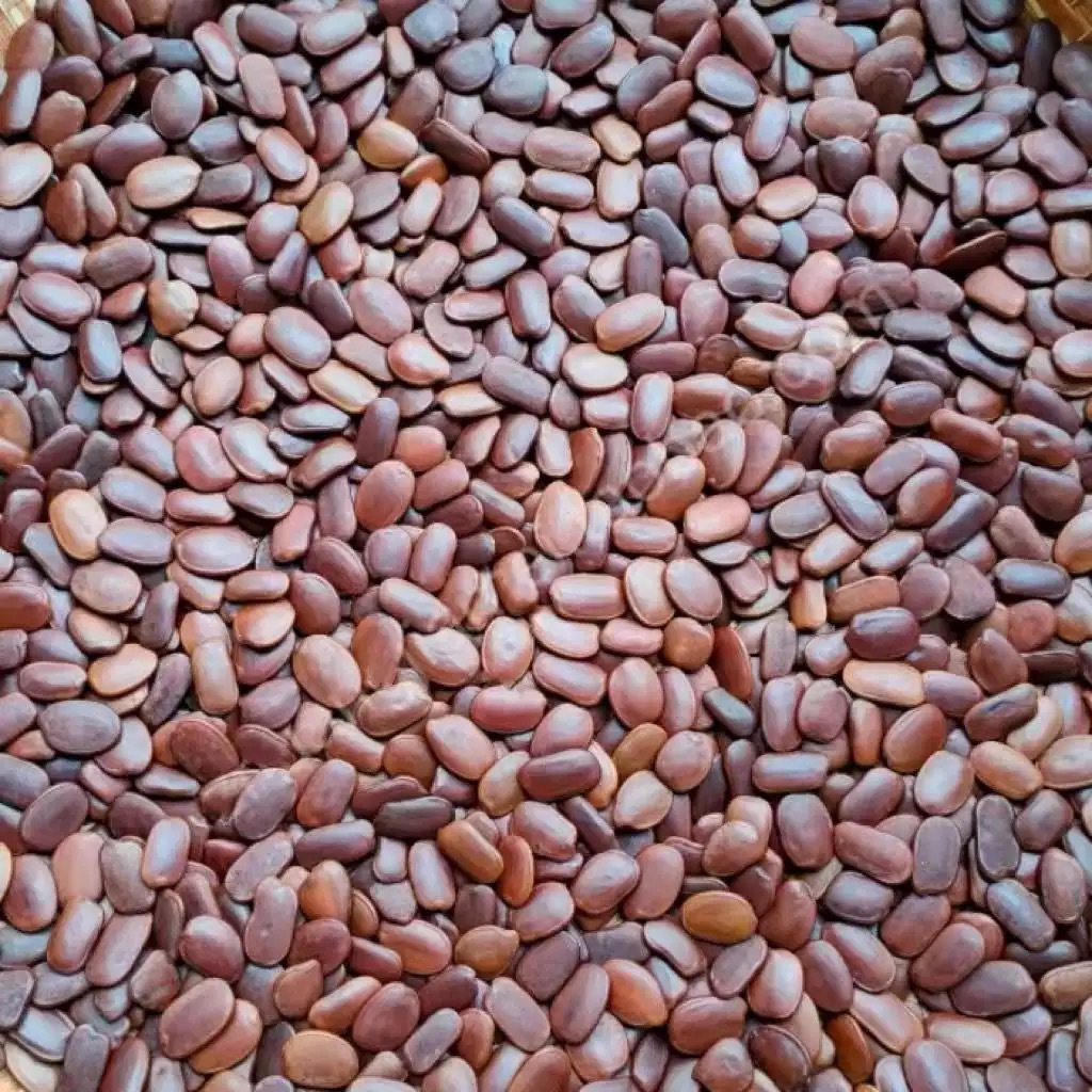 10 granos de frijoles yihua