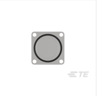 TE/̩��H53C011NN00000300000���ؿ��ŷ������� �ֻ� �������