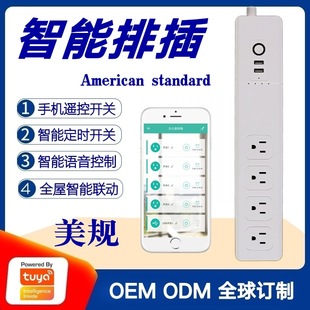 Tuya Scheme the United States Specification Wifi Smart Plug